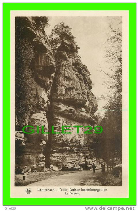 ECHTERNACH, LUXEMBOURG - LE PÉREKOP, ANIMÉE - SÉRIE 9, No 30 - E. A. SCHAACK - NELS - PETITE SUISSE - - Echternach