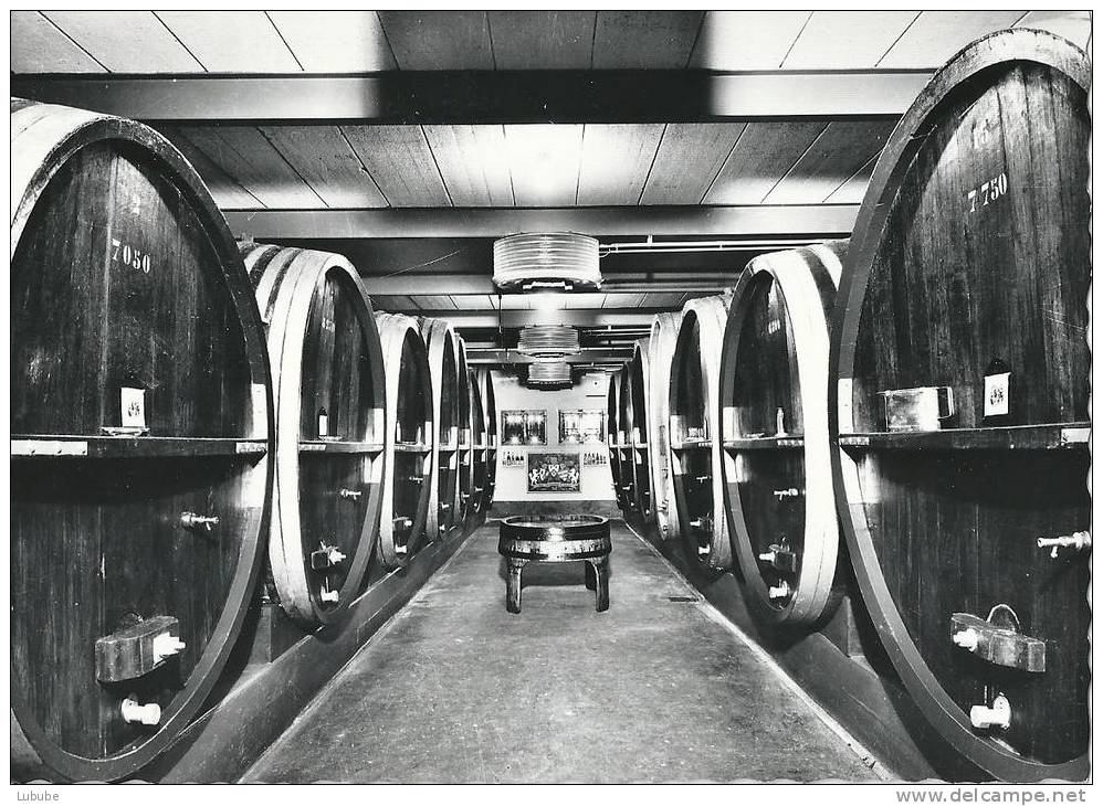 Grande Cave De Bursins - Encavages Des Grands Crus Luins, Vinzel, Bursins           Ca. 1960 - Bursins