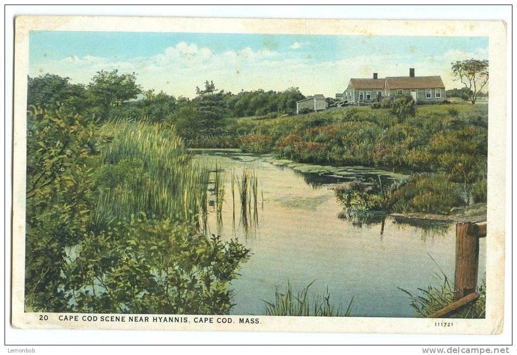 USA, Cape Cod Scene Near Hyannis, Cape Cod, Mass, 1910s-1920s Unused Postcard [11528] - Cape Cod