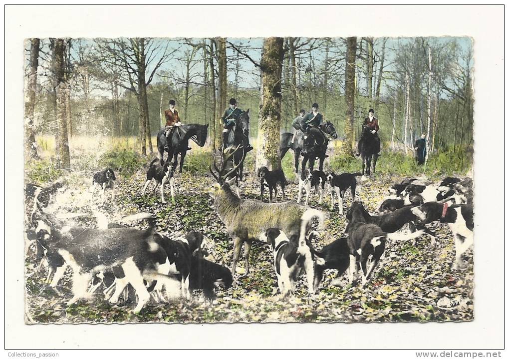 Cp, Chasse, Chasse à Cour - Chasse En Forêt, L´Hallali, écrite 1962 - Hunting