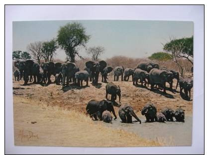 Cameroun Parc National De Waza  La Mare Aux Elephanrs    Alain Denis - Elephants
