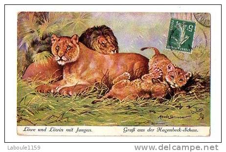 ****ANIMAUX CIRQUE ZOO LIONS ILLUSTRATEUR TUCK OILETTE : "Löwe Und Löwin Mit Jungen - Gruss Aus Der Hagenbeck Schau" - Tuck, Raphael