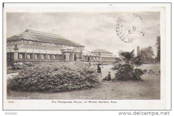 KEW 13100 THE TEMPERATE HOUSE OR WINTER GARDEN  1910 - London Suburbs