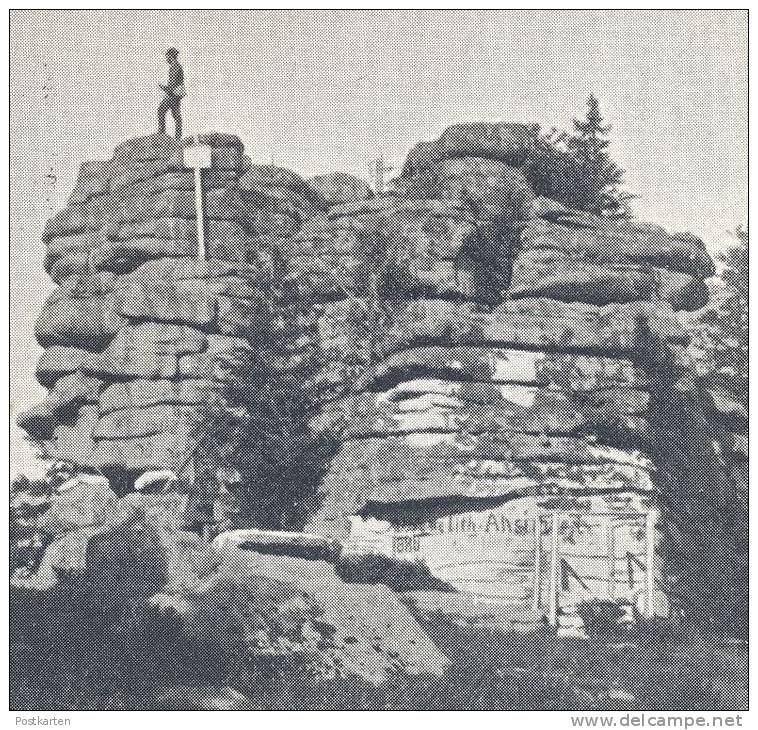 ALTE POSTKARTE GRUSS VOM DREISESSEL 1899 BEI HAIDMÜHLE NEUREICHENAU Berg Dreisesselberg Nove Udoli Mountain Postcard Cpa - Freyung