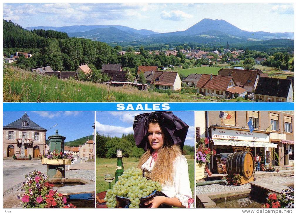 Saales(Bas/Rhin)Carte Neuve Avec 4 Vues - Autres & Non Classés