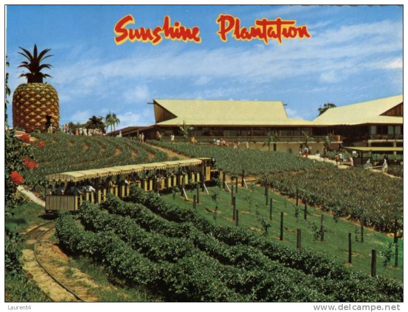 (322) Australia - QLD - Sunshine Plantation Big Pinneaple - Autres & Non Classés