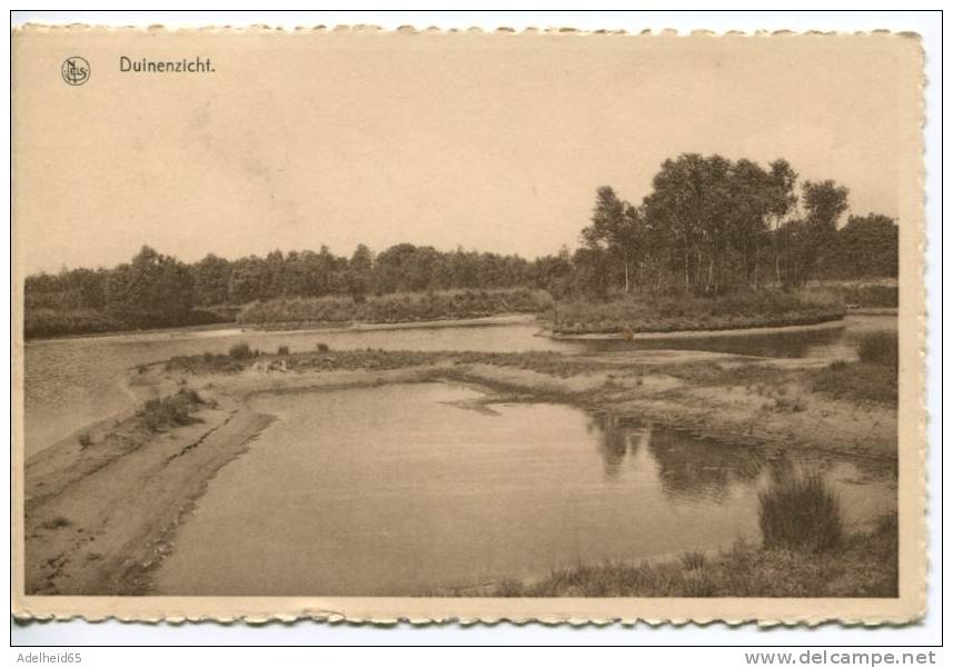 Kalmthout, Duinenzicht, Duinen Dunes Uitg. Van Loon Achterbroek - Kalmthout