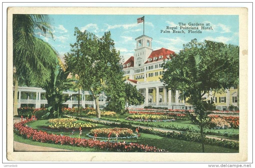 USA, The Gardens At Royal Poinciana Hotel, Palm Beach, Florida, 1910s-1920s Unused Postcard [11543] - Palm Beach