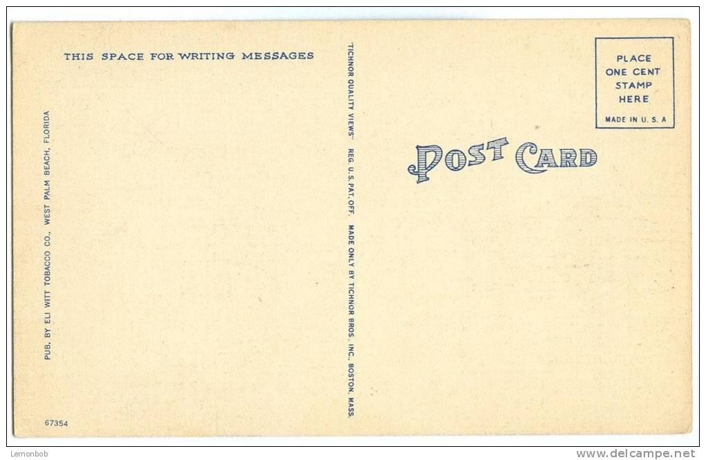 USA, Gate Entrance To Whitehall Hotel, Palm Beach, Florida, Unused Linen Postcard [11567] - Palm Beach