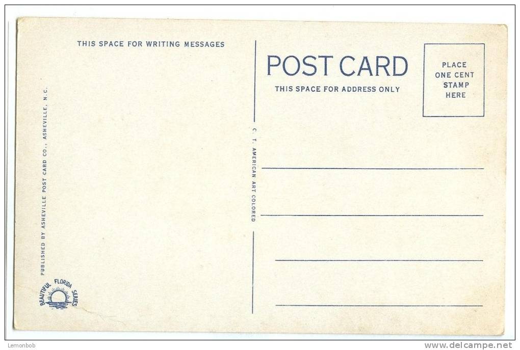 USA, Recreation Pier From Tampa Bay, St. Petersburg, Florida, Unused Postcard [11568] - Tampa