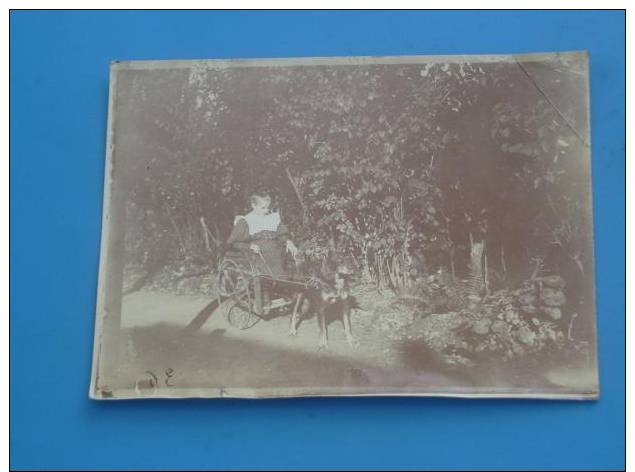 Ancienne Photo Originale ATTELAGE DE CHIEN Lieu A Identifier - Anciennes (Av. 1900)