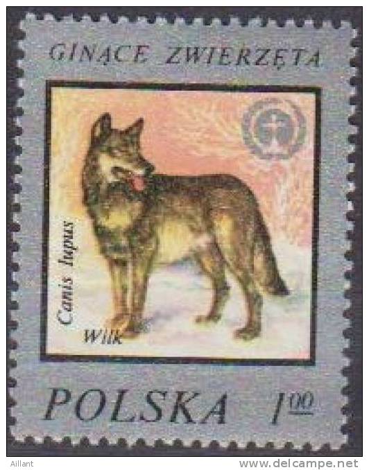 Pologne. Poland . 1977. Loup. Wolf...  ** Neuf; - Chiens