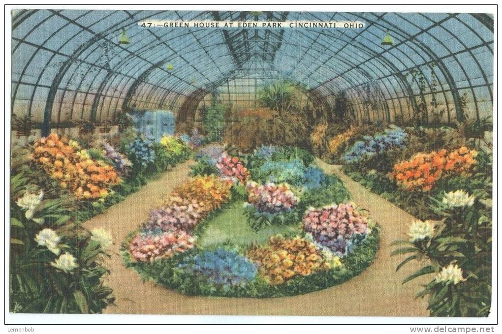 USA, Green House At Eden Park, Cincinnati, Ohio, 1950 Used Linen Postcard [11581] - Cincinnati