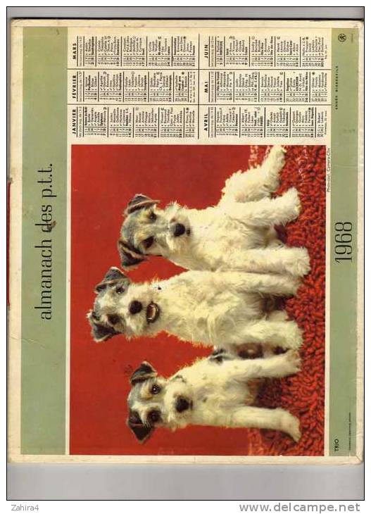 Almanach Des P.T.T. - Tarn Et Garonne) - Chiens (Fox) - Chatons - Instrument Musique (Cors D'harmonie) -  1968 - Tamaño Grande : 1961-70