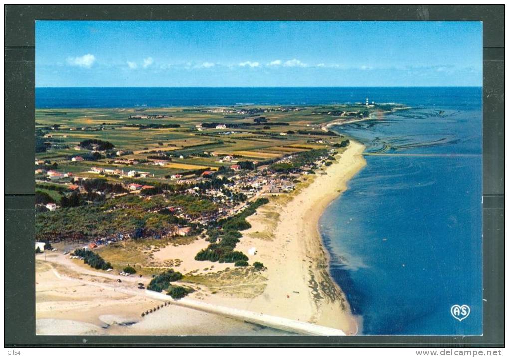 Cpsm Gf -   Ile D'oléron ,  Saint Denis Vu D'ensemble De La Plage Et Du Camping  LL15247 - Ile D'Oléron