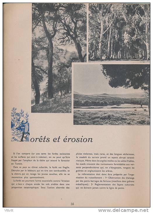 L'EFFORT TUNISIEN (1945) par le Service de l'Information et de la Presse du Protectorat Français en Tunisie, 68 pages...