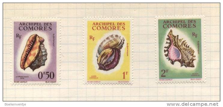 Archipel Des Comores - Lot De 3 Timbres - Comores (1975-...)