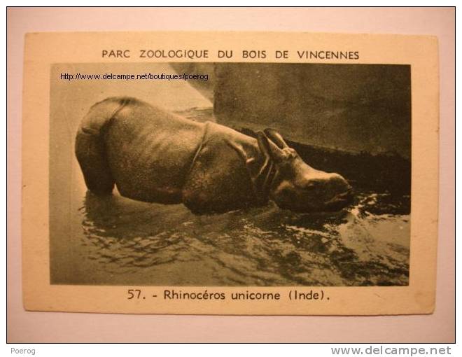 IMAGE CHROMO - PARC ZOOLOGIQUE DU BOIS DE VINCENNES - 57. RHINOCEROS UNICORNE (INDE) - Other & Unclassified