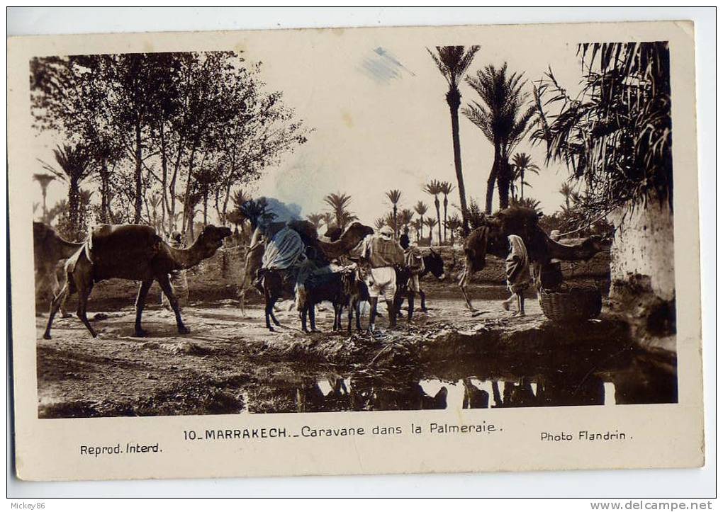 Maroc-MARRAKECH--Caravane Dans La Palmeraie (animée,ane,chameaux) ,cpsm 9 X 14  N° 10 Photo Flandrin - Marrakech