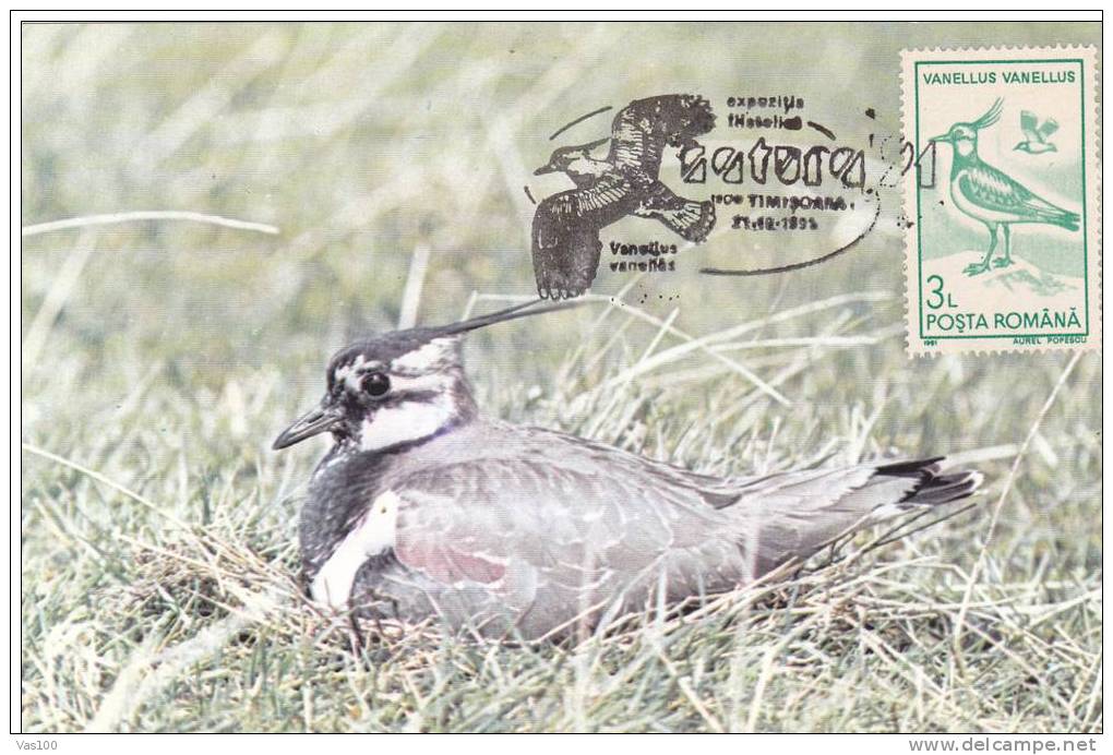 BIRDS,VANELLUS VANELLUS,1991, CM MAXICARD,CARTES MAXIMUM  ROMANIA. - Swans