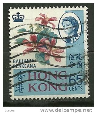 Hong Kong Oblitéré/canceled :Y & T ; N° 236 - Used Stamps