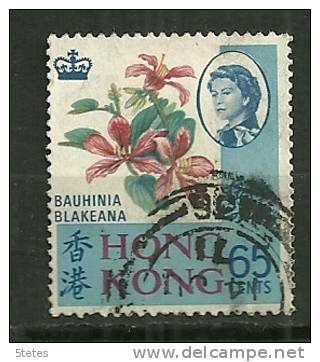 Hong Kong Oblitéré/canceled :Y & T ; N° 236 - Used Stamps