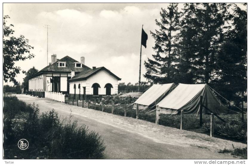 Doische- Home " Notre Petite Gare " - Maison De Vacances -1965  ( Voir Verso ) - Doische