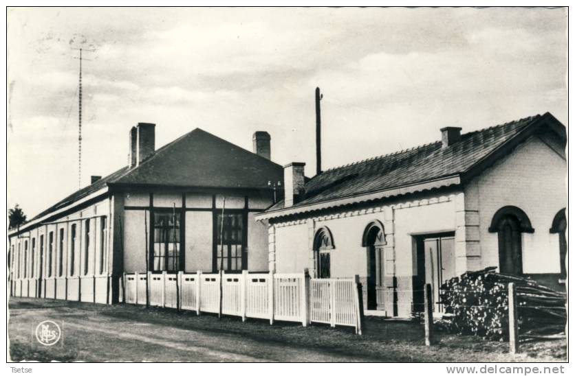 Doische- Home " Notre Petite Gare " - Maison De Vacances - Ancienne Gare -1967  ( Voir Verso ) - Doische