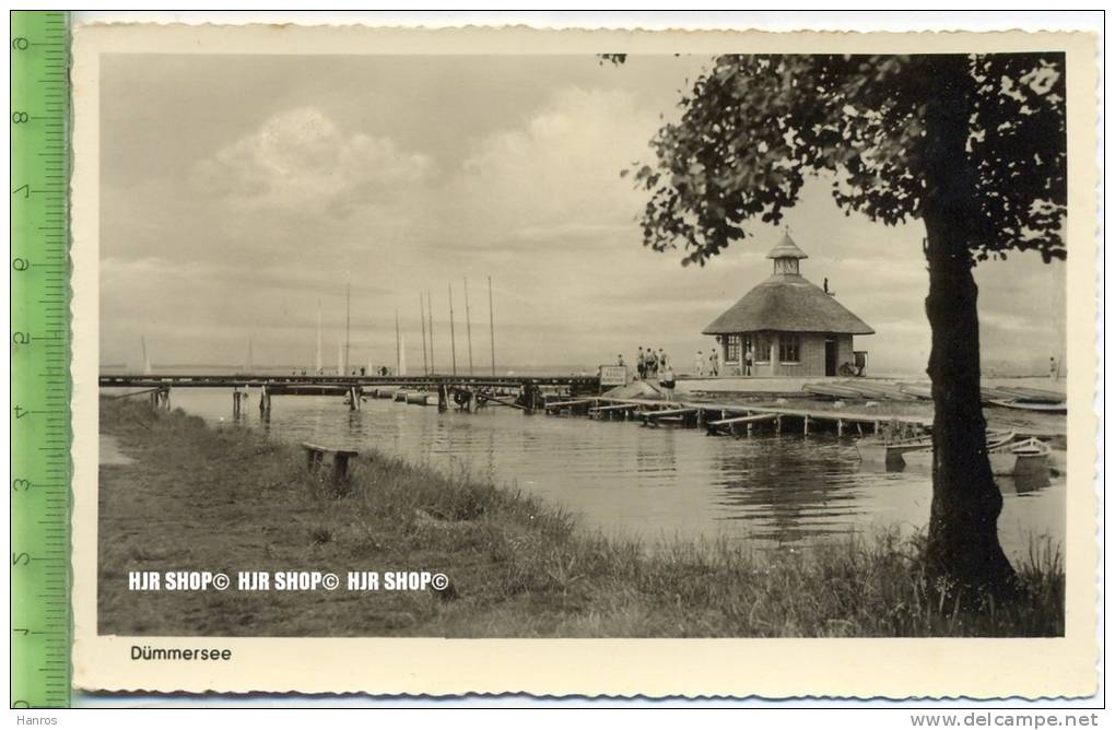 „Dümmersee“ Um 1950/1960 Ungebrauchte Karte - Diepholz