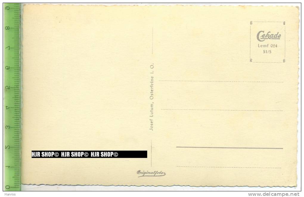 „Dümmersee“ Um 1950/1960 Ungebrauchte Karte - Diepholz