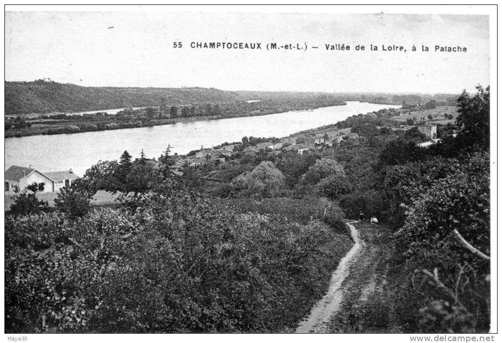 Champtoceaux- Vallée De La Loire,à La Patache - Champtoceaux