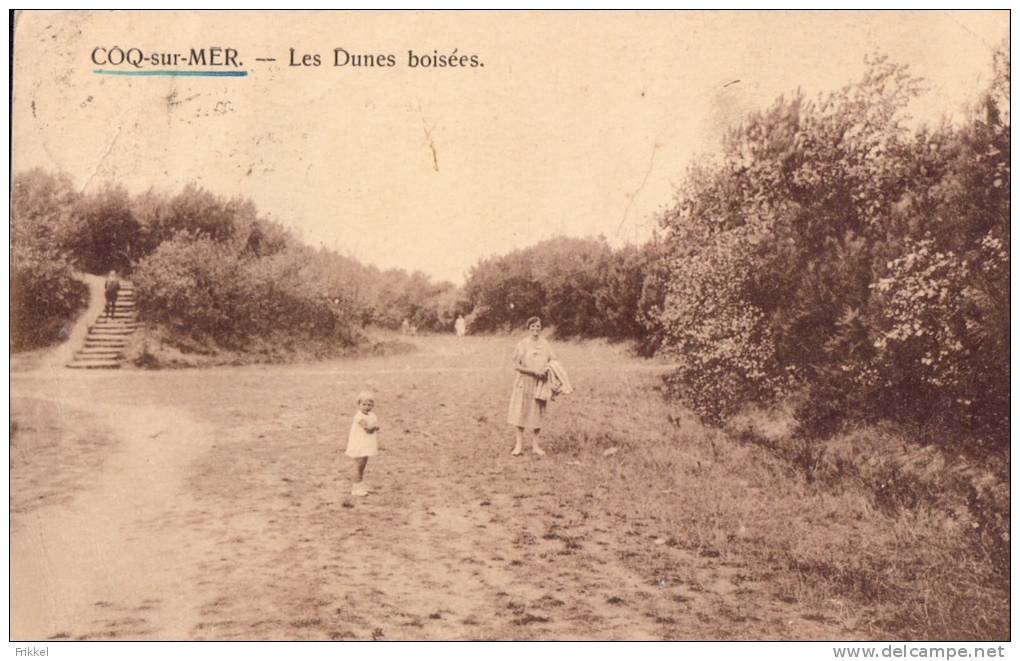 De Haan Coq S/Mer Les Dunes Boisées - De Haan