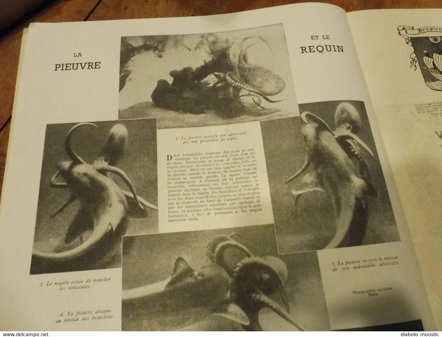 17-1-1942 : Exposition de poupées au musée Cognacg-Jay ; La télévision industrialisée ; Combat  Pieuvre entre Requin