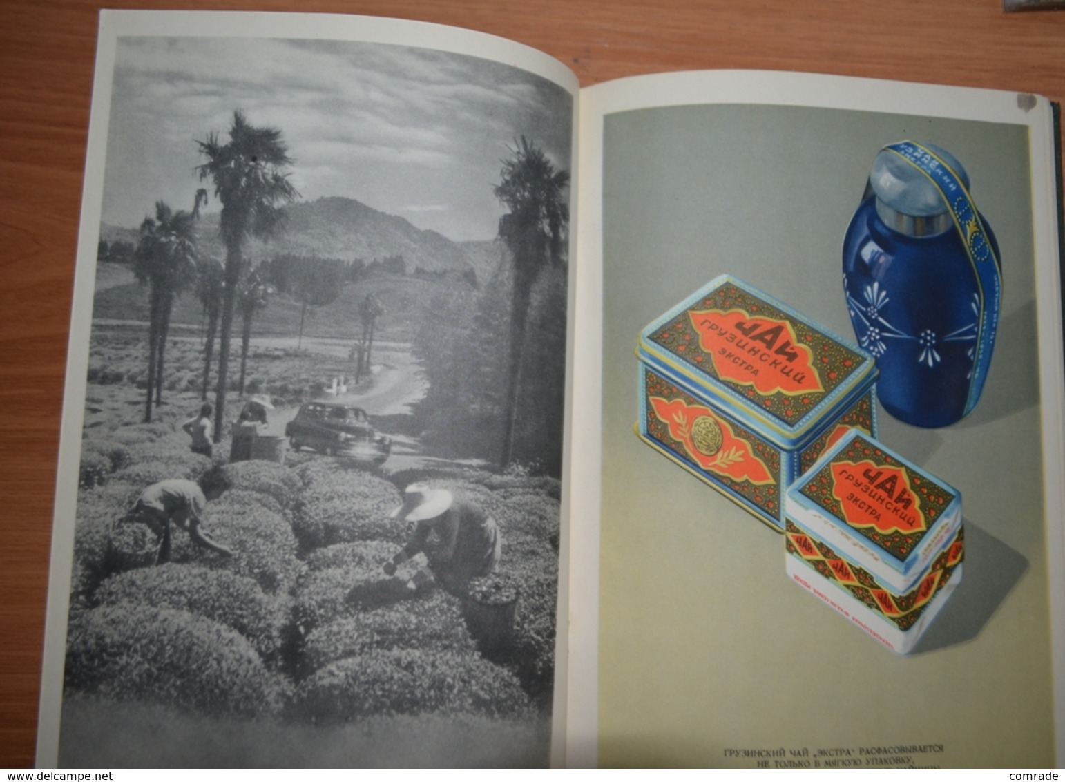 RUSSIA. Book Catalog Tea USSR 1956 Year - Slav Languages