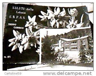 DALUTI DA  TREPPO CARNICO STELLE ALPINE E COLONIA ENPAS V1953   DX5157 - Udine
