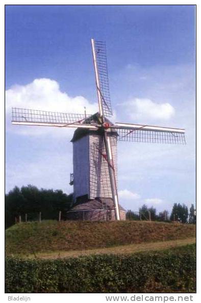 HARELBEKE (W.Vl.) - Molen/moulin/mill - Fraaie Opname Van De Nog Bestaande Koutermolen Op Zijn Nieuwe Locatie - Harelbeke