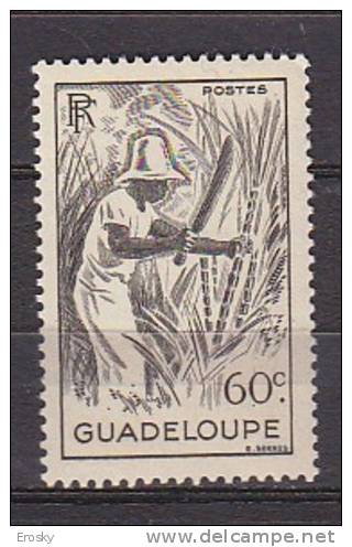 M4337 - COLONIES FRANCAISES GUADELOUPE Yv N°200 ** - Neufs