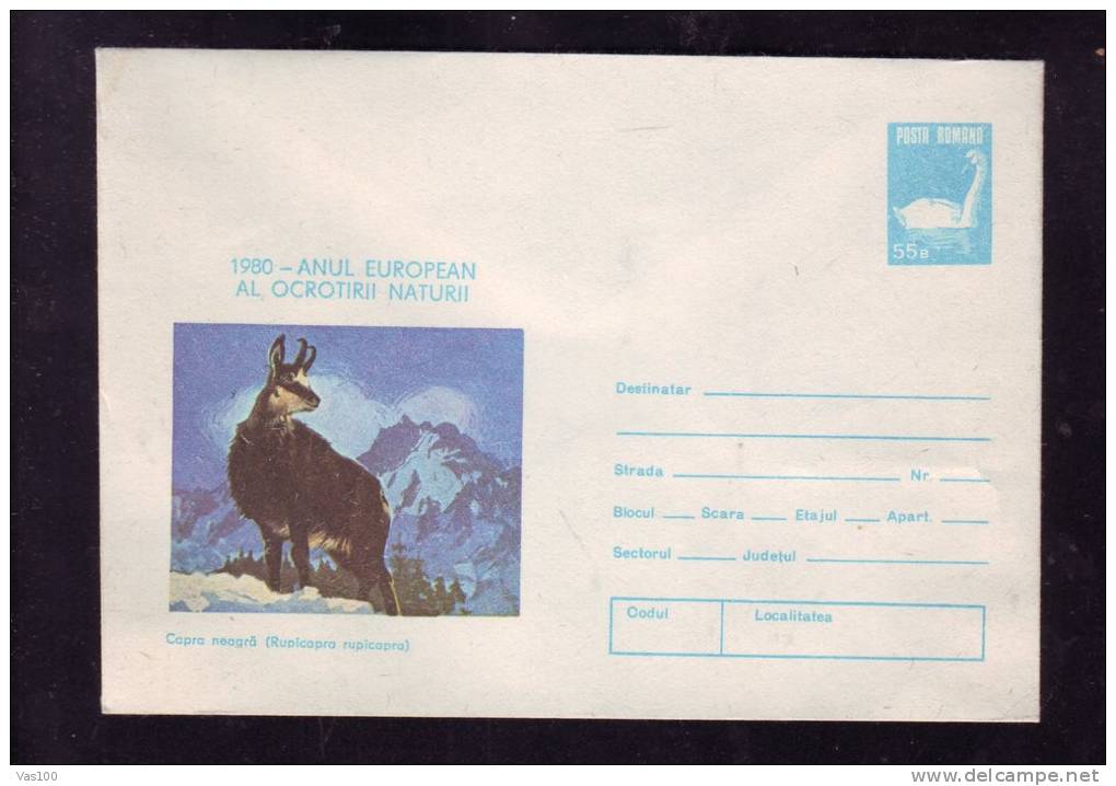 MOUNTAIN GOATS,CHAMOIS 1980, ENTIER POSTAL,COVER STATIONERY UNUSED , ROMANIA - Game