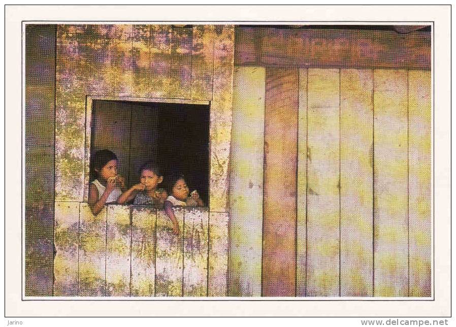 Brésil-Brasil, Manaus,enfants Dans Une Cabane De Planches, Editeur:Edito-Service S.A.,Imprimé En C.E.,reedition - Manaus