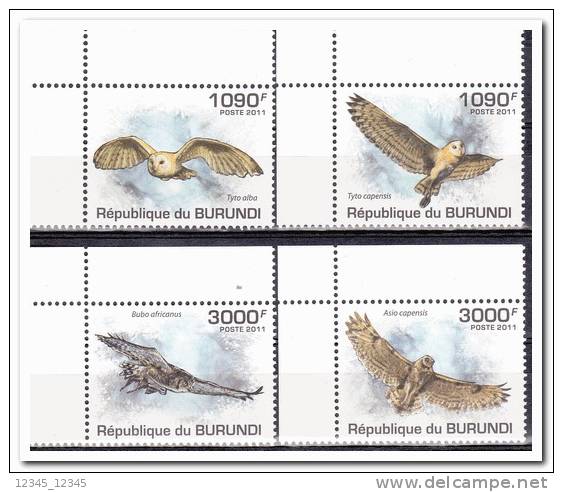 Italie 2011 Postfris MNH Owls - Ongebruikt