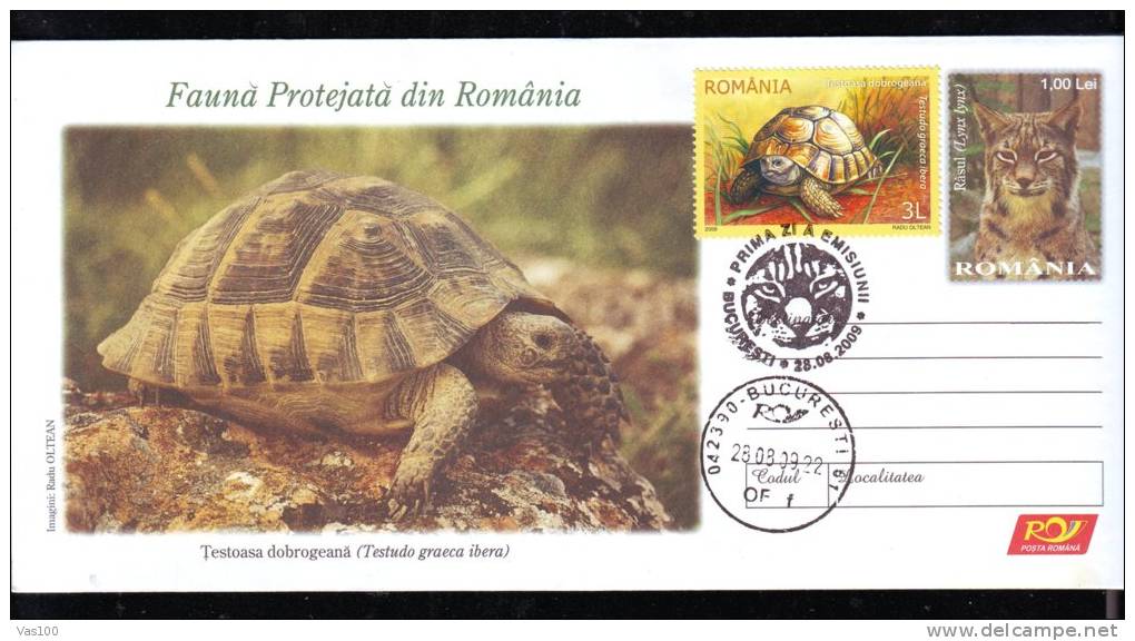 Tortues,TURTLE,Lynx  2009 FDC,stamp On Cover + Label,obliteration Concordante,uprated,entier Postaux -Romania. - Turtles