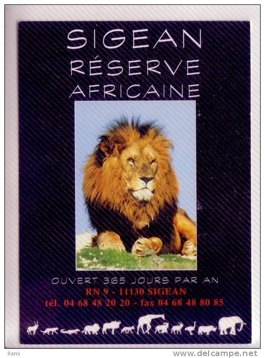 12 SIGEAN Réserve Africaine Lion Animaux Non écrite - Sigean