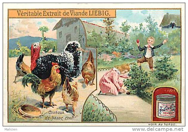 Chromo -ref 318- Liebig - Oiseaux - De Basse Cour -volailles- Coq -poules -dindon - - Liebig