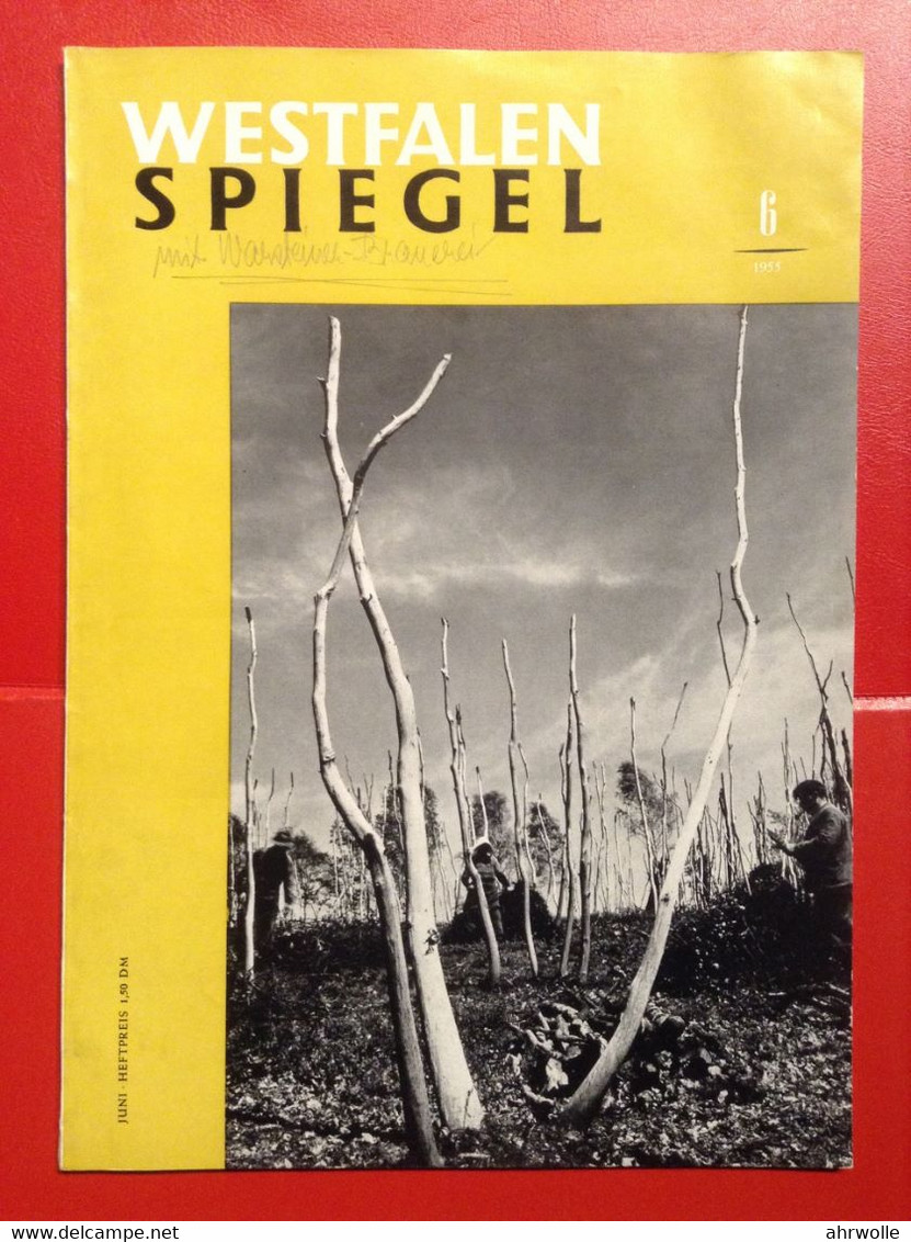 Westfalen Spiegel 1955 Siegerland Und Westfalen Mit Warstein Brauerei Amt Warstein - Travel & Entertainment