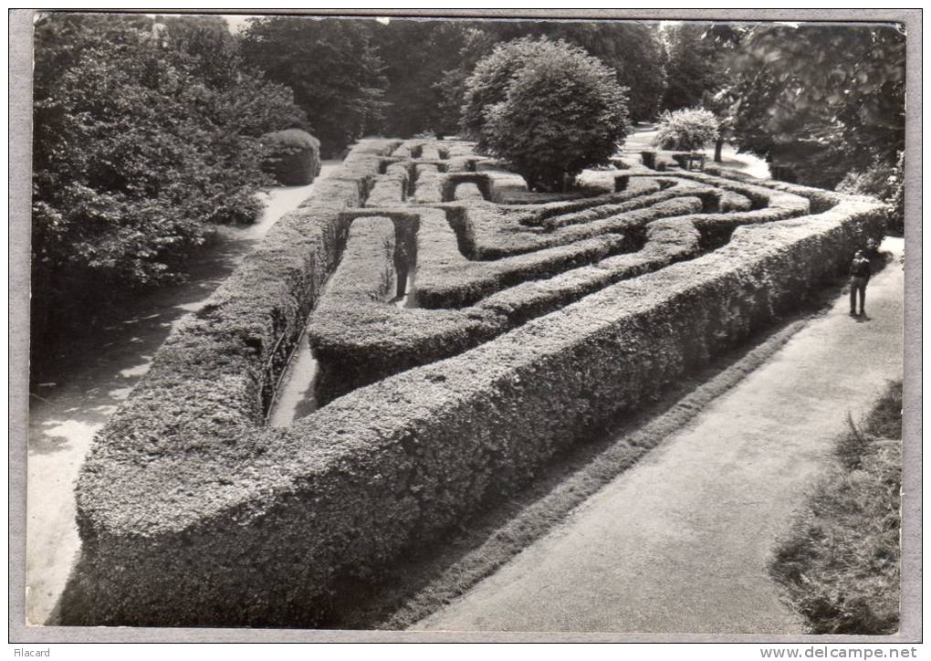 31491      Regno Unito,   Hampton  Court  Palace,  Middlesex,  The  Maze,  NV  (scritta) - Middlesex