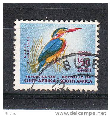 Sud Africa   -   1964.  Martin Pescatore.  River Kingfisher - Cicogne & Ciconiformi