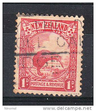 Nuova Zelanda   -   1935. Kiwi, Bird Symbol Of  New Zealand - Kiwi's