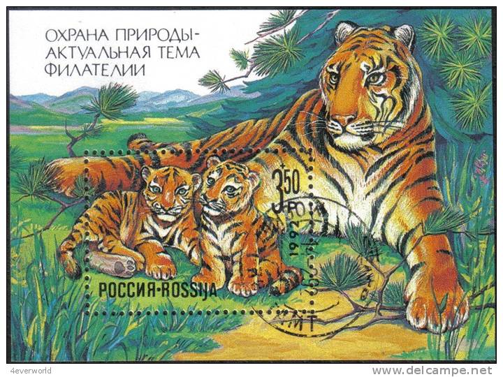 1992 Nature Conservation Big Cat Tiger Russia Stamp CTO - Collezioni