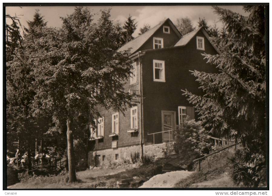 AK Schnett/Kr. Hildburghausen, Wald-Café, Gel, 1968 - Hildburghausen