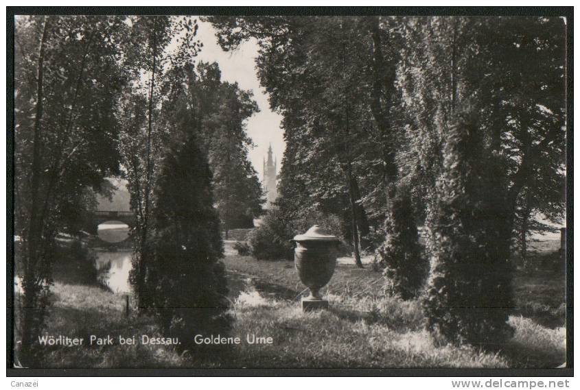 AK Dessau, Wörlitzer Park, Goldene Urne, Gel, 1959 - Dessau